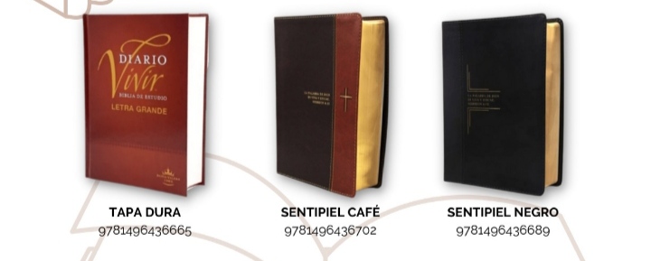 Biblias Renacer 