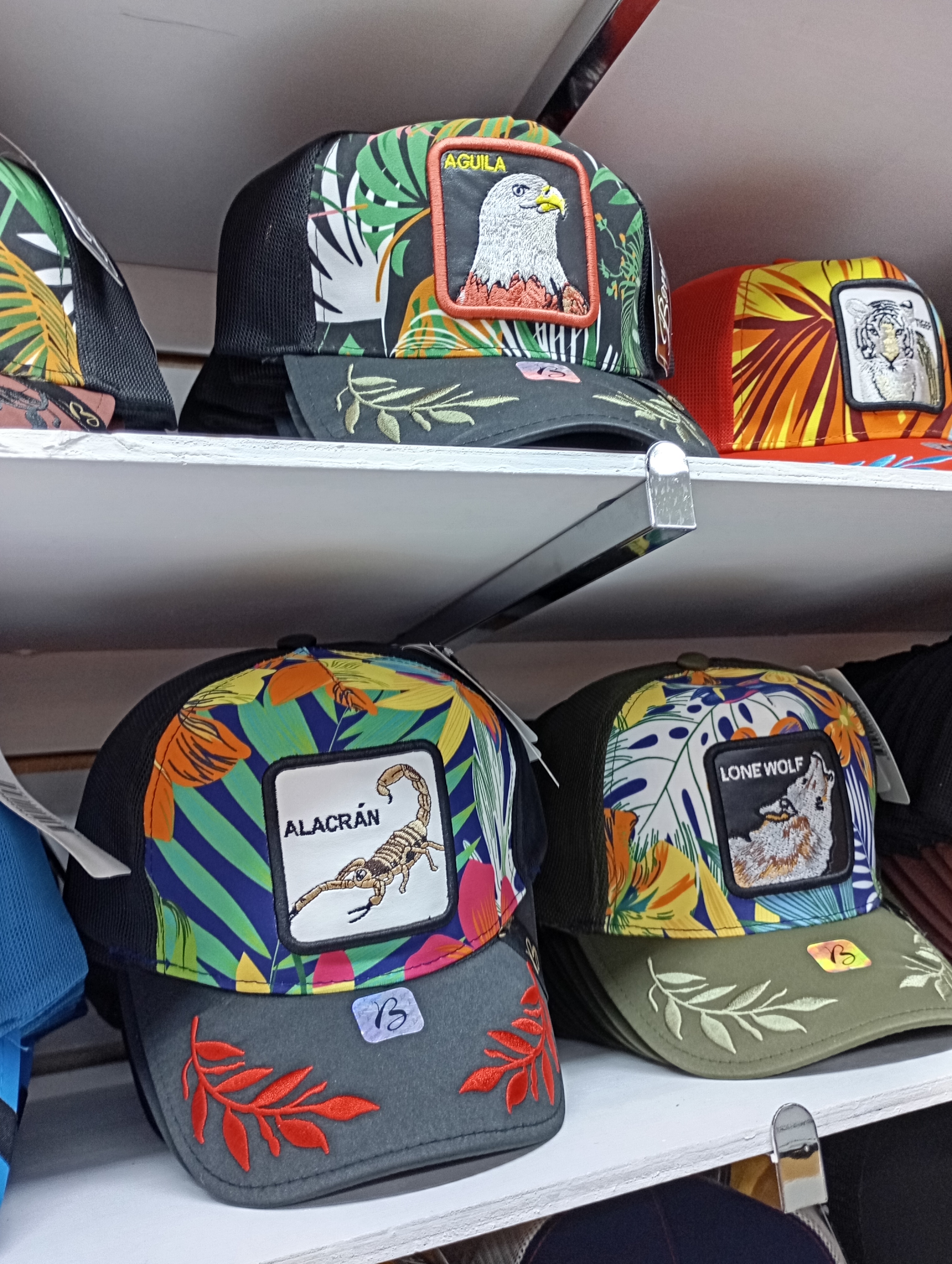 Jia Yi Gorras