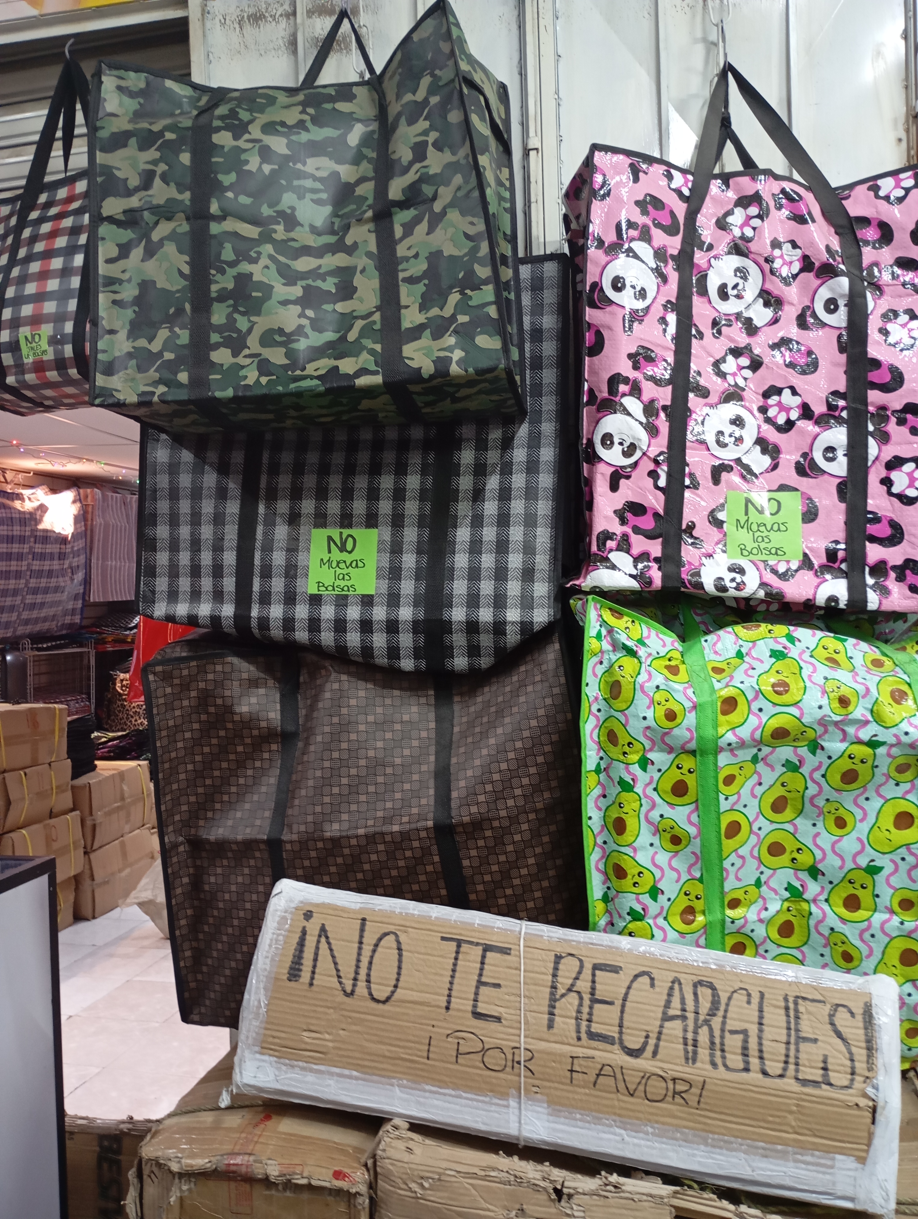 NOVEDADES MIGUELON