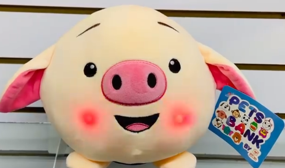 BENJI KAWAII PMT